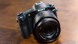 Illustration for article titled The Best Camera for Every Parent
